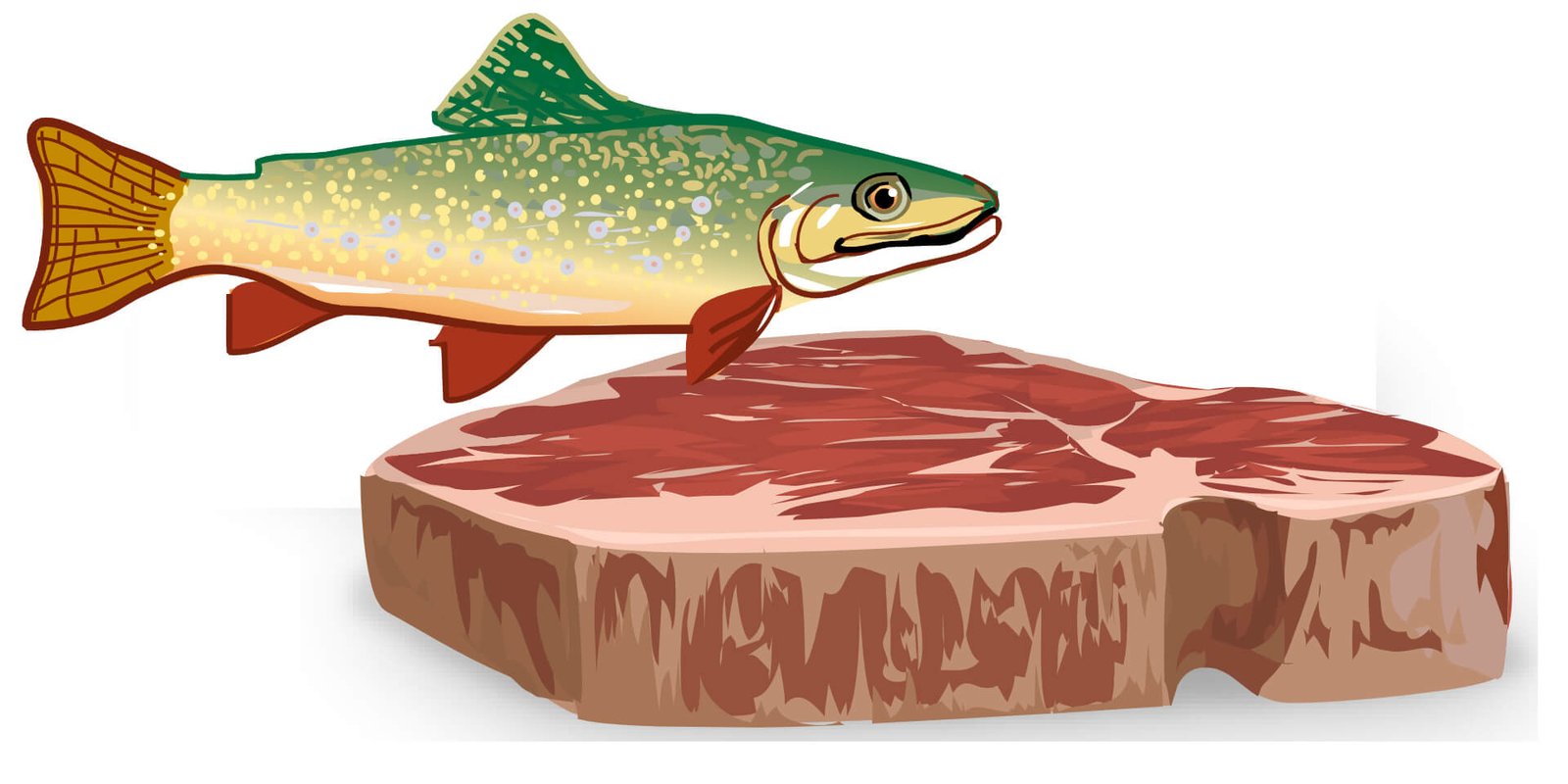 Die Sache mit fisch+fleisch, Ewald Stadler, Pegida und der Objektivität