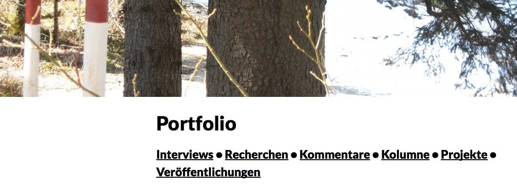 Portfolio_-_Dominik_Leitner