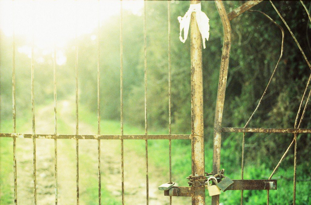 5549713819_94a948edc4_b